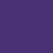 Cricut Infusible Ink™ Transfer Sheets 不溶性墨水轉印紙 - 紫色 (2008886) - 香港行貨